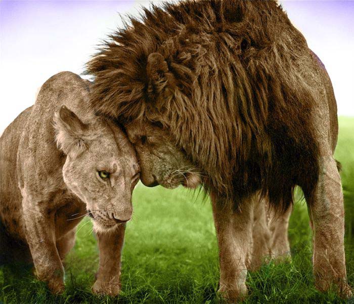 عکسهای دیدنی و خنده دار، www.pixnaz.info