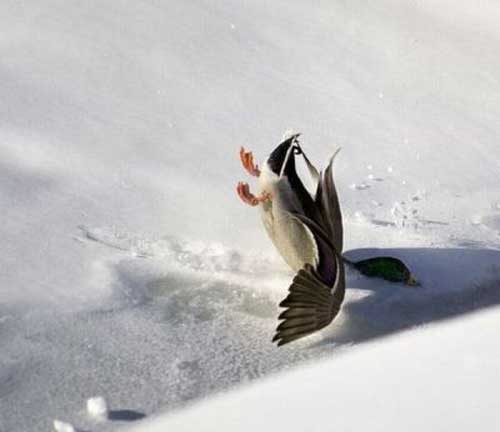 عکس های پربیننده طنز و جالب اینترنت عکس های پربیننده طنز و جالب اینترنت