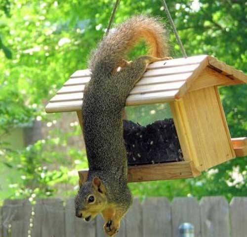 عکس های پربیننده طنز و جالب اینترنت عکس های پربیننده طنز و جالب اینترنت