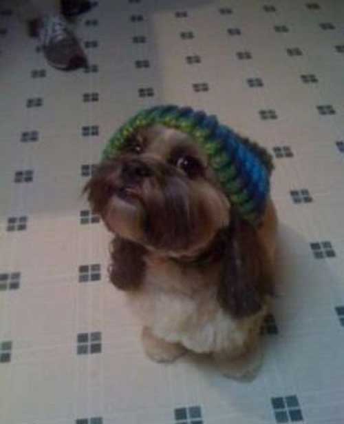 عکس های پربیننده طنز و جالب اینترنت عکس های پربیننده طنز و جالب اینترنت