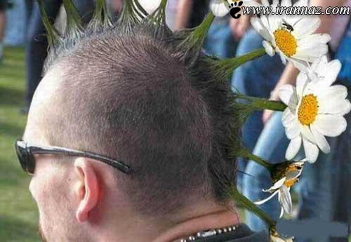 عکس هایی از مدل موهای عجیب و غریب و خنده دار عکس هایی از مدل موهای عجیب و غریب و خنده دار