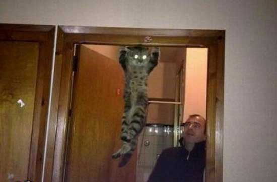 عکس های پربیننده طنز و جالب اینترنت عکس های پربیننده طنز و جالب اینترنت