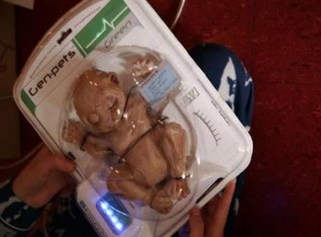 عروسک هایی که واقعا جان دارند (عکس)