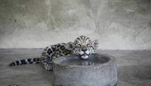 عکس های پربیننده طنز و جالب اینترنت عکس های پربیننده طنز و جالب اینترنت