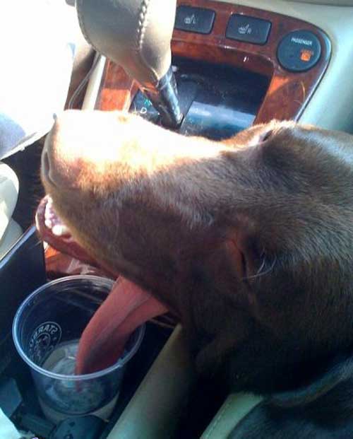 عکس های پربیننده طنز و جالب اینترنت عکس های پربیننده طنز و جالب اینترنت