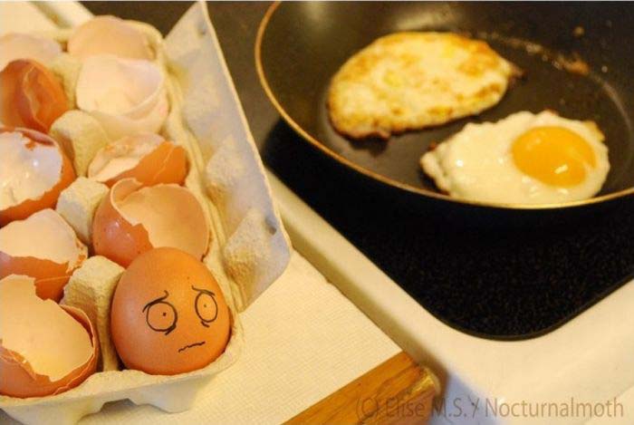 عکسهای دیدنی و خنده دار، www.pixnaz.info