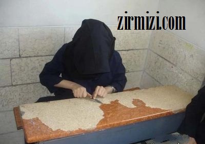تصاویر حرکت زشت و تحریک کننده دختر ایرانی در دانشگاه 2 024