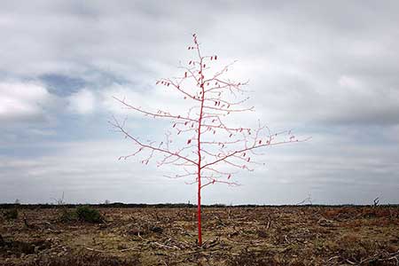 عکسهای جالب,عکسهای جذاب