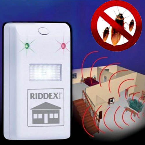 سوسک و حشرات موزی