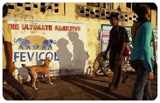 عکس های دیدنی و جالب شکار لحظه ها عکس های دیدنی و جالب شکار لحظه ها