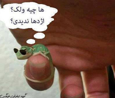 عکس های خفن خنده دار و ترول جدید 94 7 Inline<br /><br /><br /><br />
image 20