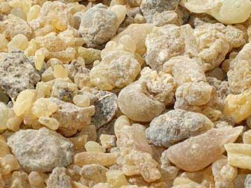 خاصیت گیاه کندر,کندر و تقویت حافظه