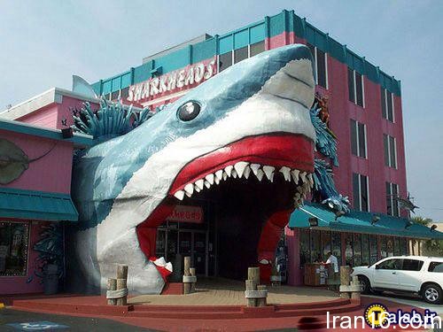 عکس های طنز و خنده دار (190)