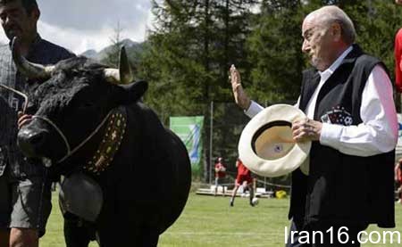 عکسهای جالب,تصاویر جالب,فدراسیون فوتبال 