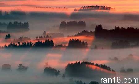 عکسهای جالب,تصاویر دیدنی