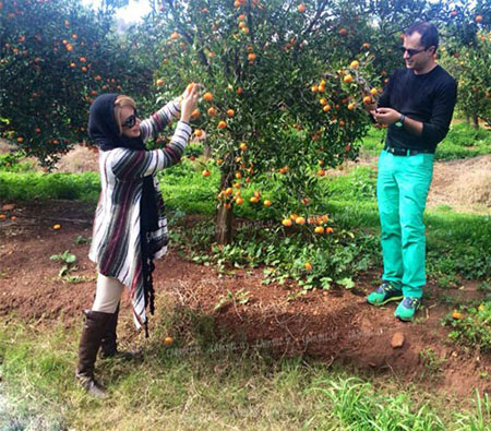 اخبار,اخبارفرهنگی ,جدیدترین عکس بازیگران "اخبار,اخبارفرهنگی
