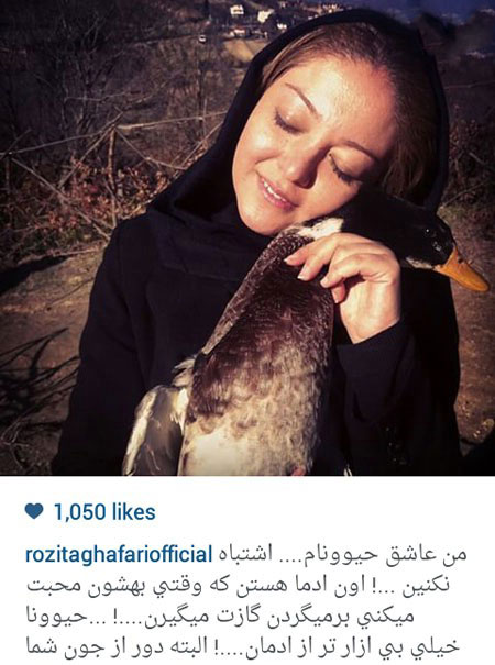 اخبار,اخبارفرهنگی ,جدیدترین عکس بازیگران "اخبار,اخبارفرهنگی