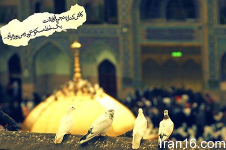 جملکس های ولادت امام رضا , متن تبریک میلاد امام رضا