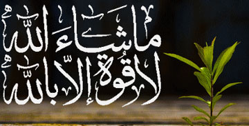 نماز رفع چشم زخم,چشم زخم چیست