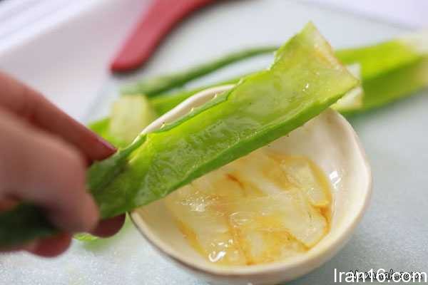 دستور ساخت کرم آلوئه ورا برای پوست 2 طرز تهیه کرم آلوئه ورا برای پوست (2)