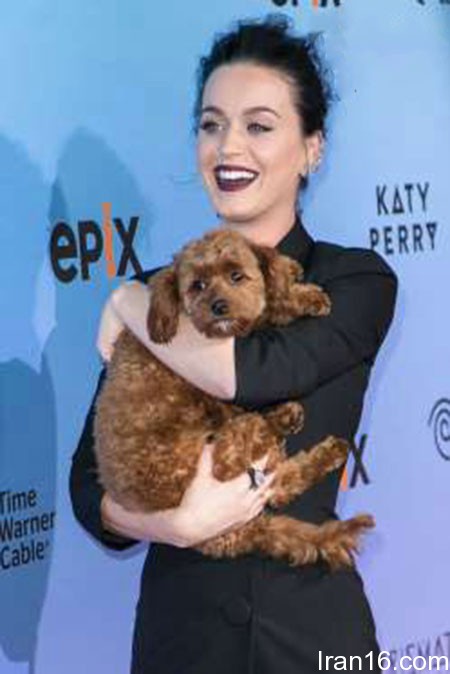 اخبار,اخبار فرهنگی,ستاره های هالیوود اخبار,اخبار فرهنگی,ستاره های هالیوود