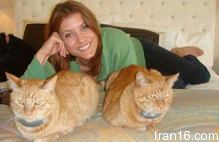 اخبار,اخبار فرهنگی,ستاره های هالیوود اخبار,اخبار فرهنگی,ستاره های هالیوود