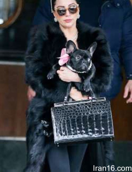 اخبار,اخبار فرهنگی,ستاره های هالیوود اخبار,اخبار فرهنگی,ستاره های هالیوود