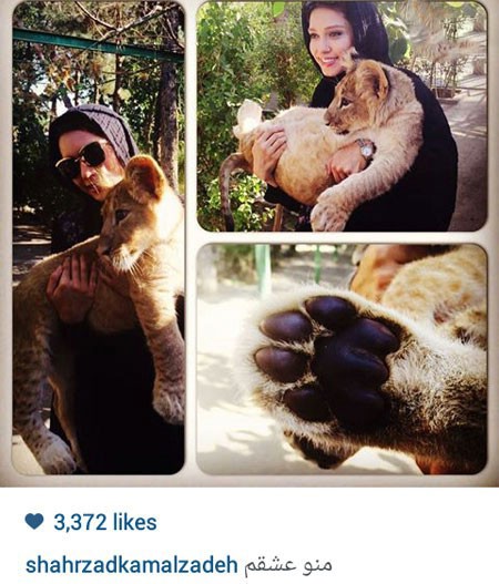 اخبار,اخبارفرهنگی , عکس های بازیگران 