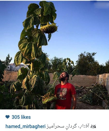 اخبار,اخبارفرهنگی , عکس های بازیگران اخبار,اخبارفرهنگی , عکس های بازیگران