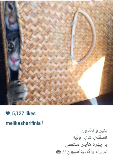 اخبار,اخبارفرهنگی , عکس های بازیگران 