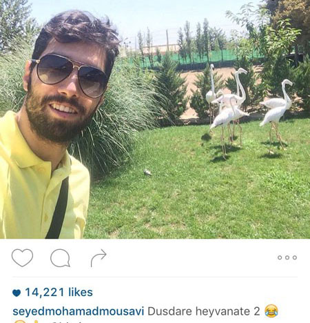 اخبار,اخبارفرهنگی , عکس های بازیگران