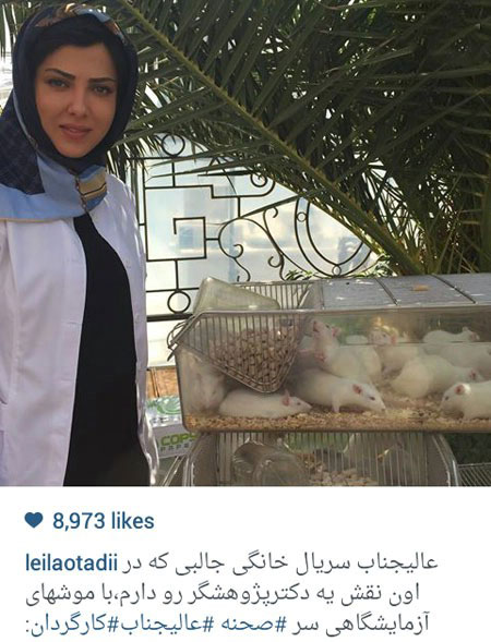 اخبار,اخبارفرهنگی , عکس های بازیگران اخبار,اخبارفرهنگی , عکس های بازیگران