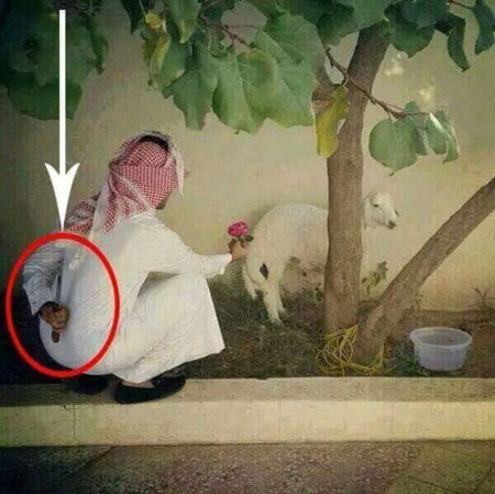 عکس خنده دار عید قربان , طنز عید قربان 