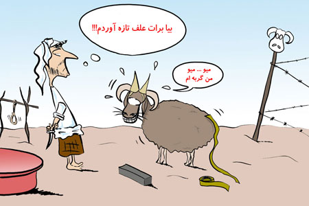 عکس عید قربان, مطالب طنز و خنده دار 