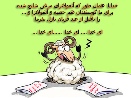 طنز عید قربان, عکس طنز عید قربان