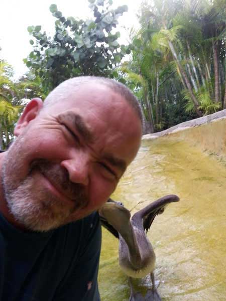 سلفی، کشنده تر از کوسه سلفی، کشنده تر از کوسه