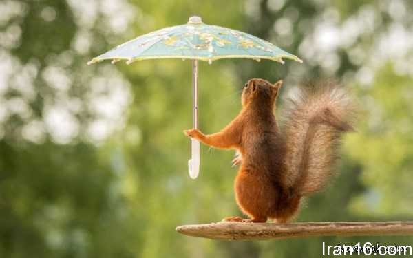 تصاویر-روز (5)