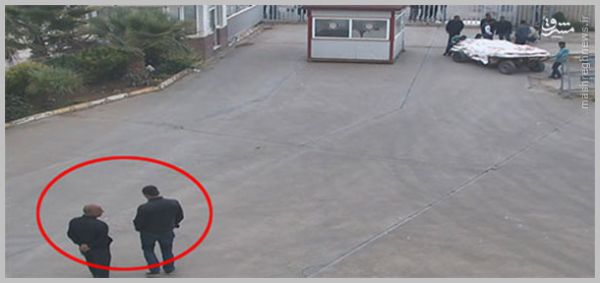 داعش،ترکیه،تصاویر