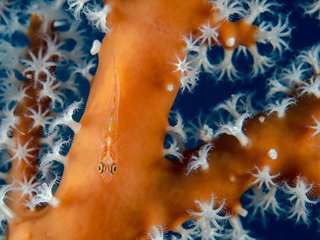 عکسهای جذاب,تصاویر دیدنی