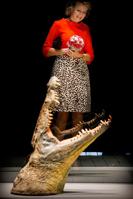 بازدید ملکه بلژیک از یک نمایشگاه در موزه هنرهای معاصر در شهر هورنو عکسهای جالب,عکسهای جذاب,نمایشگاه