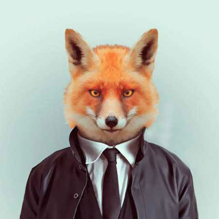 لباس پوشیدن حیوانات شبیه انسان ها عکسهای جالب,تصاویر دیدنی