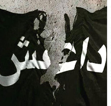 اخبار,اخبار فرهنگی ,نیوشا ضیغمی اخبار,اخبار فرهنگی ,نیوشا ضیغمی