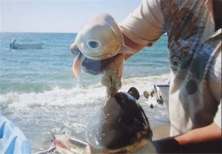 ماجرای حیرت انگیز دجال آخرالزمان (18+) ماجرای حیرت انگیز دجال آخرالزمان (18+)