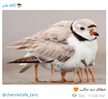جدیدترین جوکهای خنده دار تلگرام مطالب طنز و خنده دار در تلگرام, جوک های خنده دار در تلگرام,مطالب طنز تلگرام