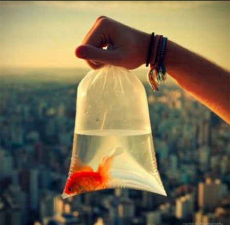 شعر عاشقانه , عکس عاشقانه , شعر کوتاه عاشقانه , شعر عاشقانه زیبا