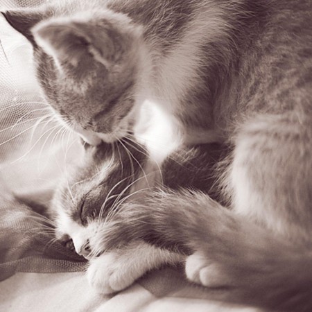 شعر عاشقانه , عکس عاشقانه , شعر کوتاه عاشقانه , شعر عاشقانه زیبا