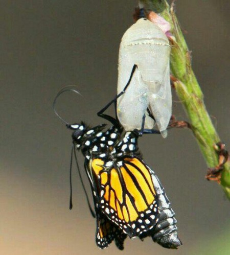 متن های کوتاه عاشقانه همراه عکس های جذاب 4 2 شعر عاشقانه , عکس عاشقانه , شعر کوتاه عاشقانه , شعر عاشقانه زیبا