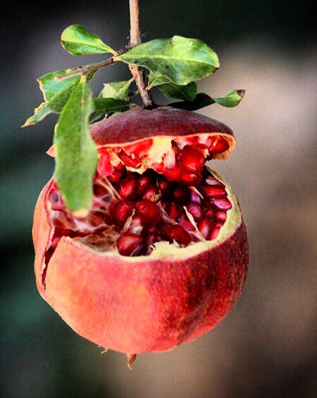 متن های کوتاه عاشقانه همراه عکس های جذاب 4 5 شعر عاشقانه , عکس عاشقانه , شعر کوتاه عاشقانه , شعر عاشقانه زیبا