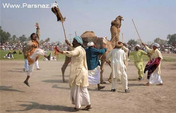 عکس هایی از تفریح عجیب مردم افغانستان برای سرگرمی عکس هایی از تفریح عجیب مردم افغانستان برای سرگرمی