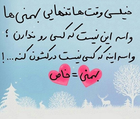 عکس نوشته های جالب متولدین بهمن